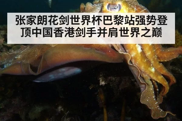 张家朗花剑世界杯巴黎站强势登顶中国香港剑手并肩世界之巅